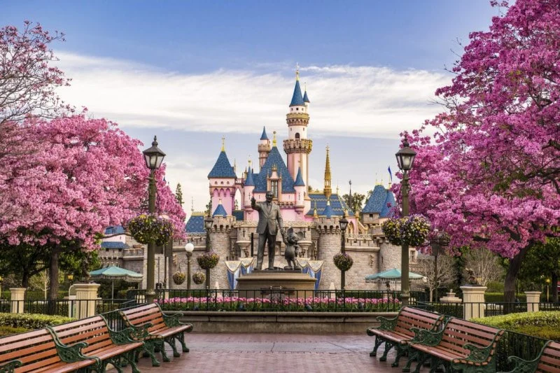 Renting a Car for Your Trip to Disneyland: Everything You Need to Know