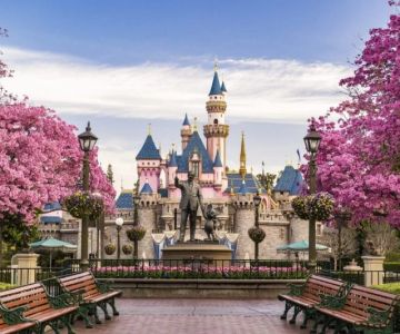 Renting a Car for Your Trip to Disneyland: Everything You Need to Know