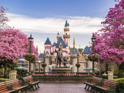 Renting a Car for Your Trip to Disneyland: Everything You Need to Know