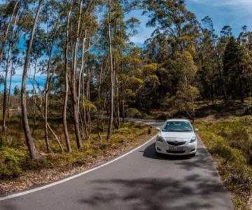 The Best Time to Rent a Car for a Budget-Friendly Vacation