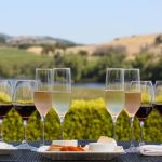 Renting a Car in Napa Valley California: Complete Wine Tour Guide