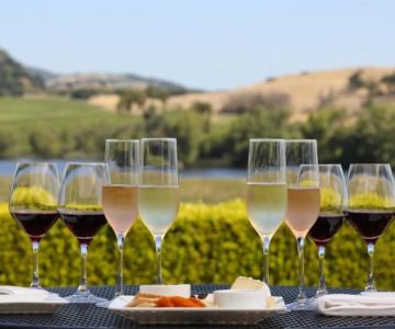 Renting a Car in Napa Valley California: Complete Wine Tour Guide