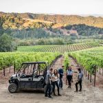 Renting a Car in Napa Valley for Wine Tours: Complete Guide